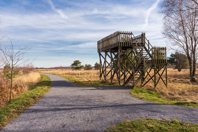 West-Ende - De Groote Peel